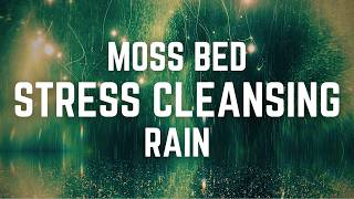MOSS BED STRESS CLEANSING RAIN | 12 Hrs of Grounding Rain for Deep Rest | Black Screen | No Mid ads