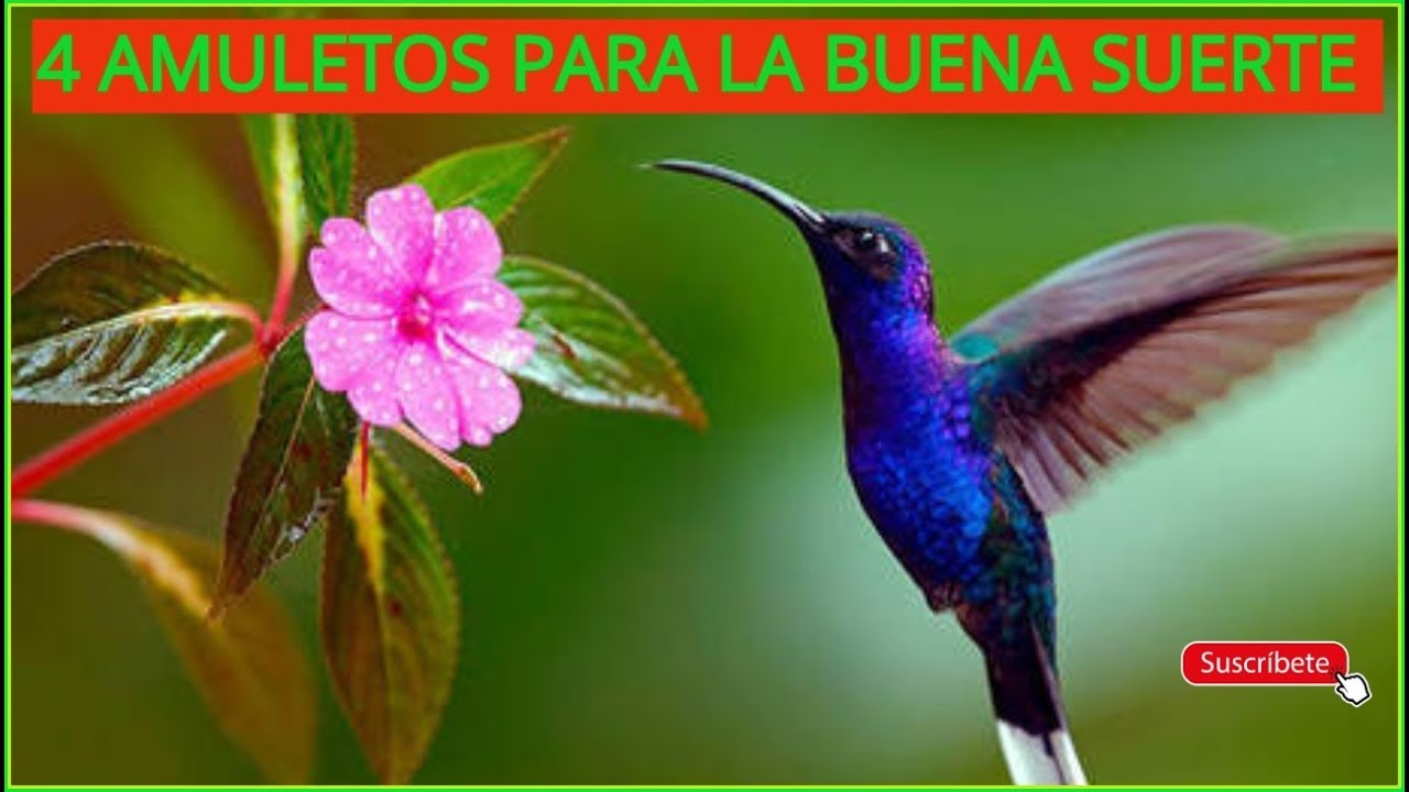4 AMULETOS para la BUENA SUERTE 2019/❤️❤️ gravedad cero