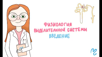 Физиология выделительной системы. Введение