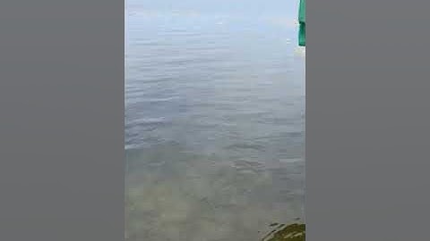 Boat Lift Boss with Wireless Fob