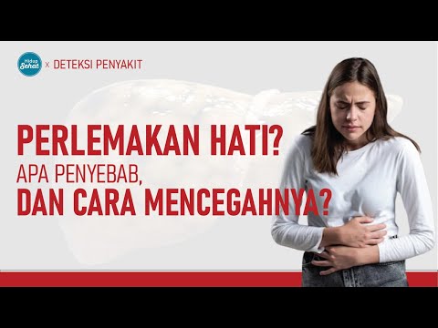 Video: Tess dan Diet Serangan Hati Buatannya