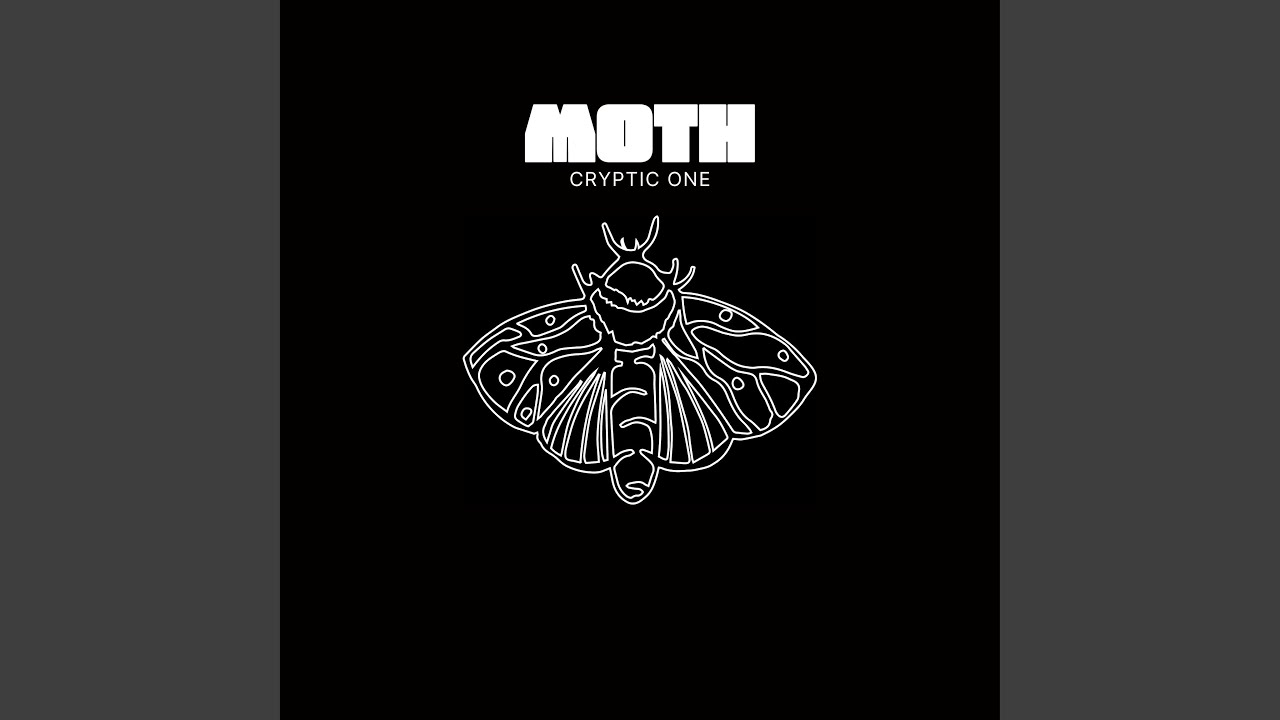 Moth (Live Fingerdrumming Performance) (Live Fingerdrumming Performance) adlı videoyu YouTube'da izle Moth (Live Fingerdrumming Performance) (Live Fingerdrumming Performance) adlı videoyu YouTube'da izle