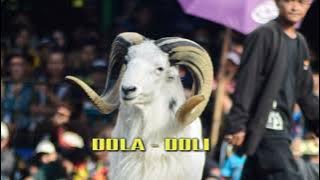DOLA - DOLI || Musik Pamidangan Domba Versi bajidoran musik kudarenggong lagu sunda ( Musik Mp3 )
