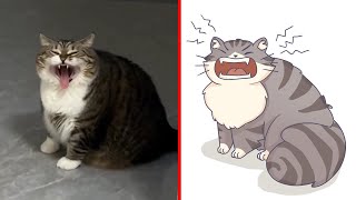 When your cat thinks he's a big horn by Cat Memes 10,472 views 3 days ago 8 minutes, 28 seconds