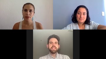 Regeneración Colmenas (YC W2021) Application Video