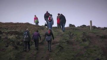 moogaloop.swf (application x-shockwave-flash Object).mp4