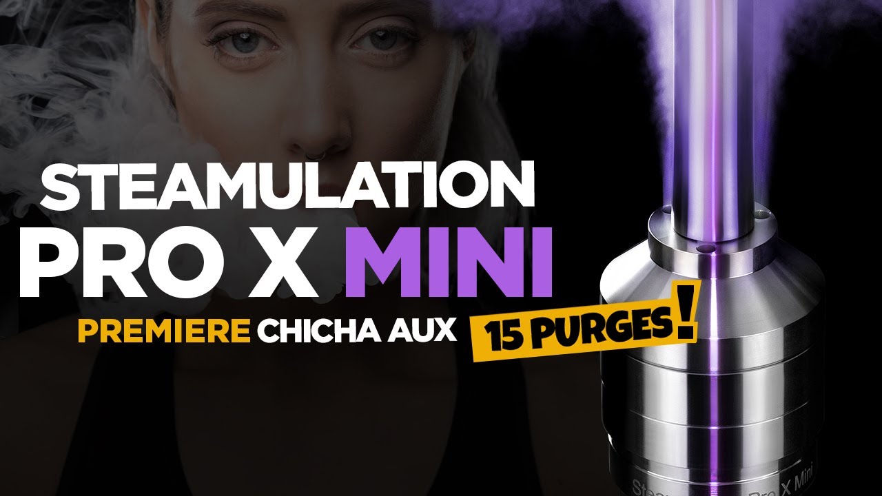 15 Purges ! L'incroyable Steamulation Pro X mini (2022)