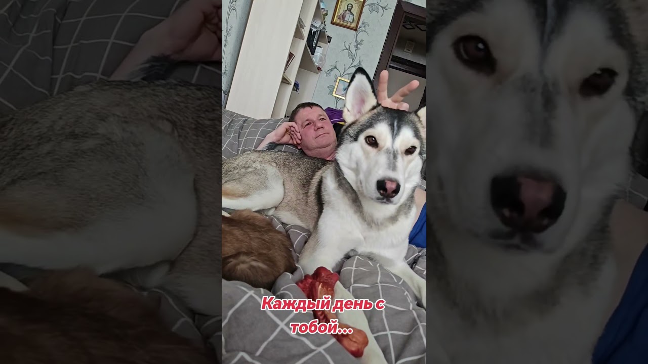 #лунакэрриюкки