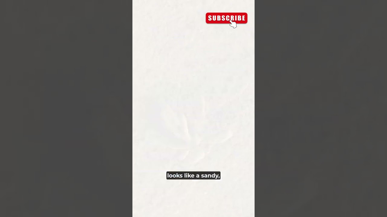 What Was That Flower Found on Mars?  