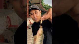 Mana Nih Para Pengguna Umpannya Erwad Kalen?