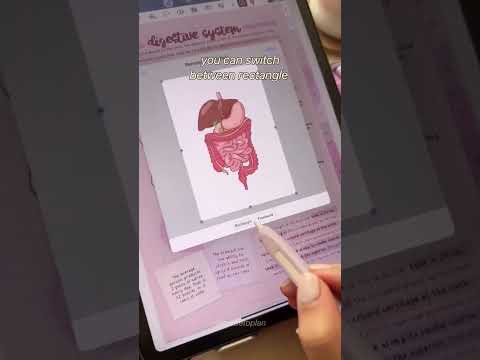 اگه کنکوری هستی زنگوله رو فعال کن کنکور کنکور۱۴۰۵