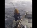 15+ A Fishing Story Pics