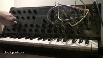 Korg MS-20 stomp beat loop #korgms20