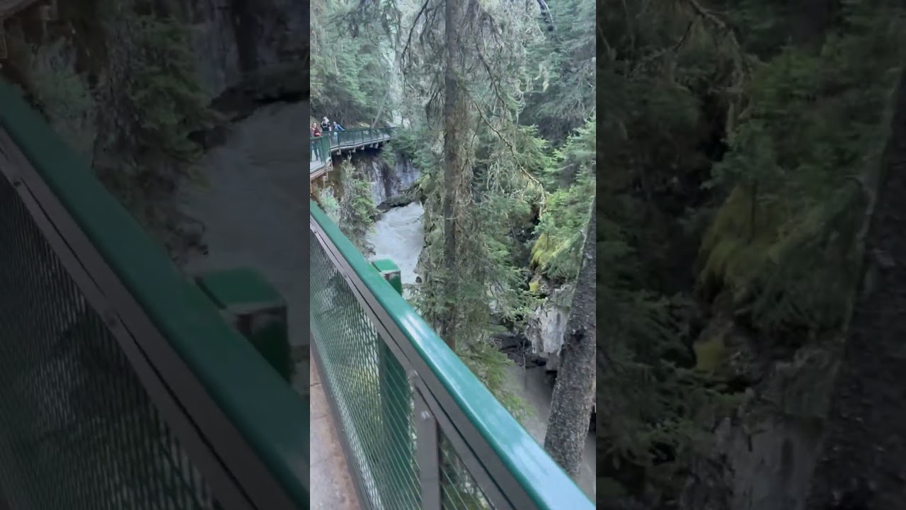 Walk in Johnston canyon 