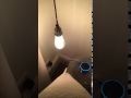 Alexa Controlled Smart Lights+More