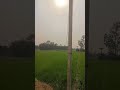 Bihar 🥰🥰#trendingsong #youtubeshorts #trendingshorts #marooncolorsadiya#jaibihar #mithila#shortvideo