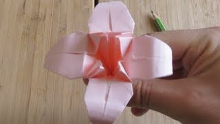 My Origami Lily Flower