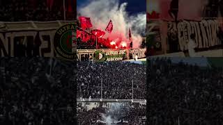 ES Setif Fans | ESS 3 vs 1 CRB | 16.05.2026 #ultrasdzmouvementalgerien #setif #sétif #setif_algerie