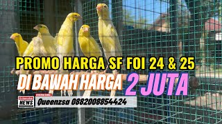 HARGA MURAH SF FOI 24 \u0026 25 BURUAN SERBU!!!!!!!