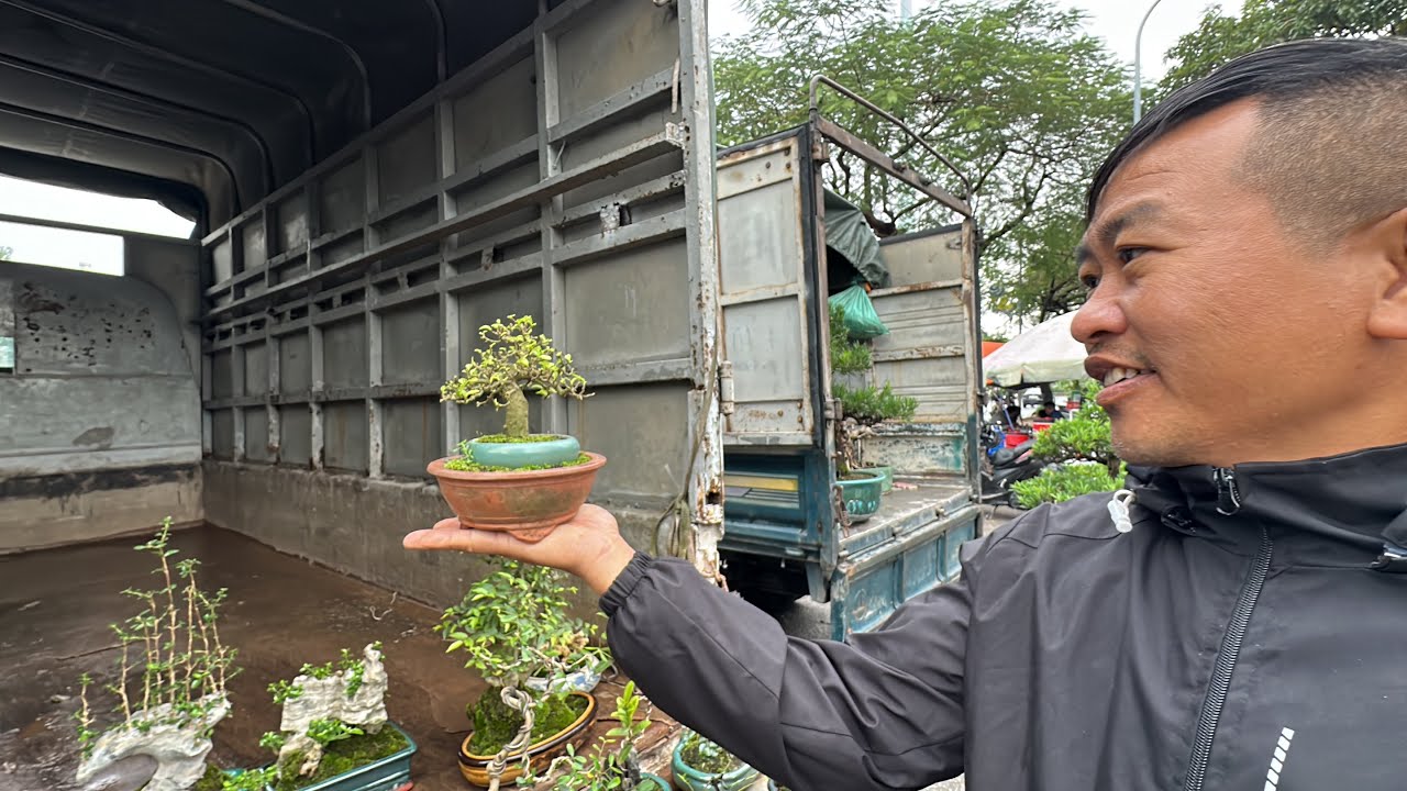 BONSAI MINI GIÁ RẺ ĐẸP LẠ CHƯA TỪNG THẤY, MÊ ĐẮM QUÁ