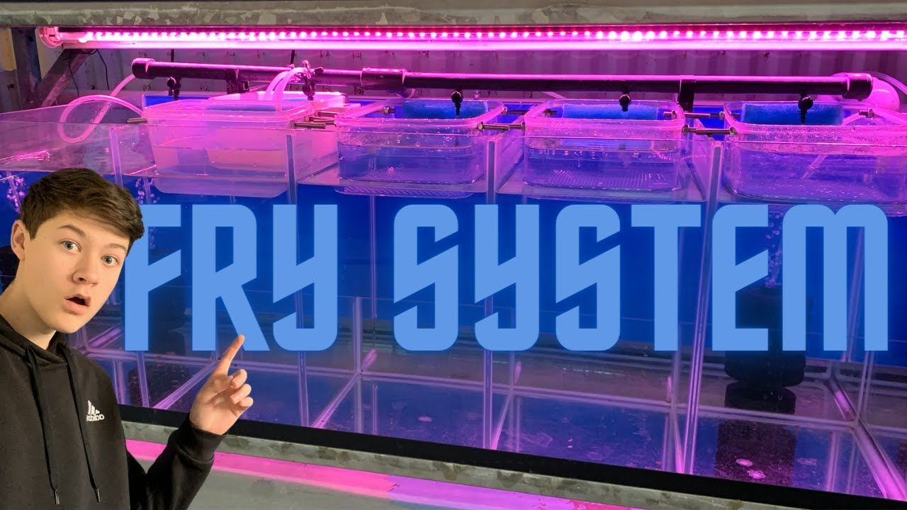Создаём лучшую систему жарки на свете!! // @deansfishroom Система жарки