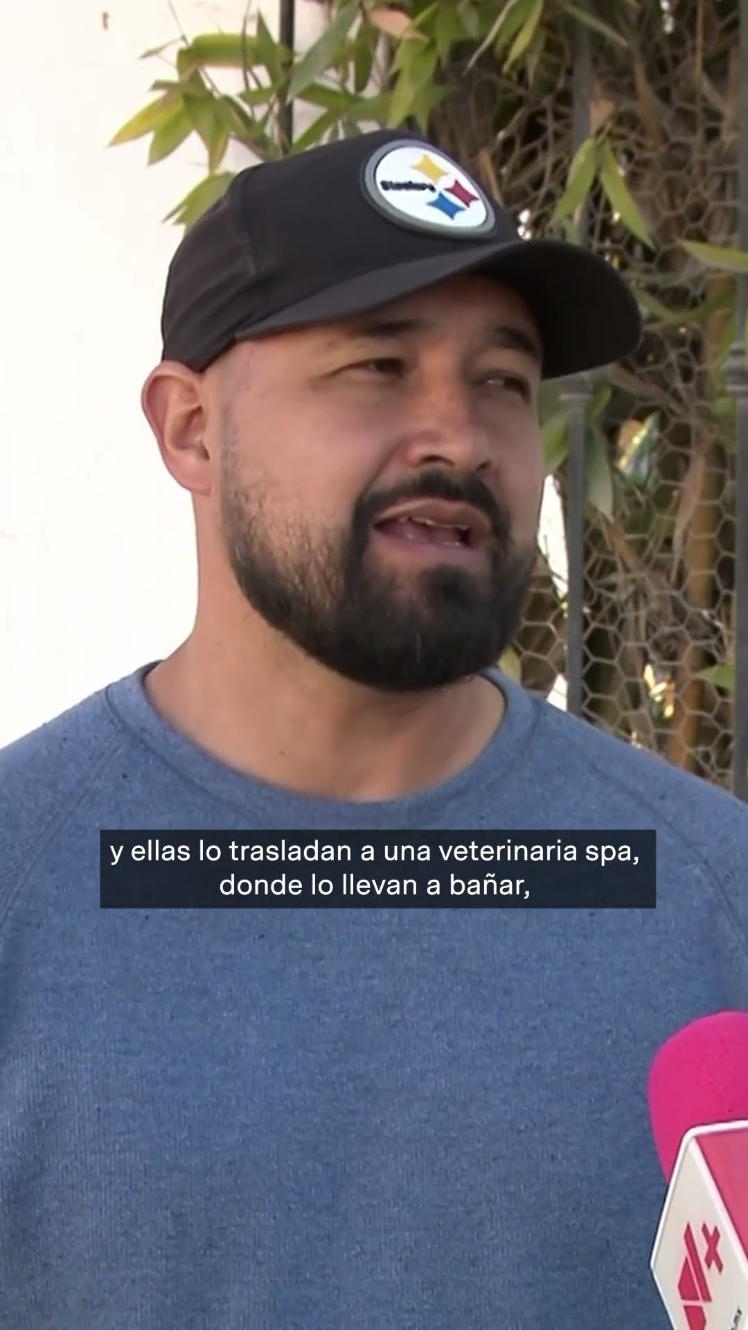 Roban a su perro y se lo devuelven muerto por paqueterías - N+ #Shorts