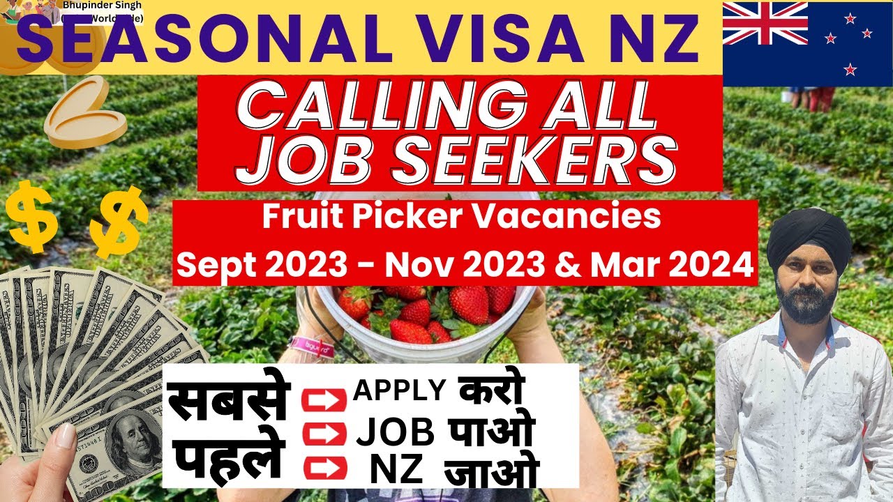 सबसे पहले APPLY करो। Fruit Picker jobs Free Transportation