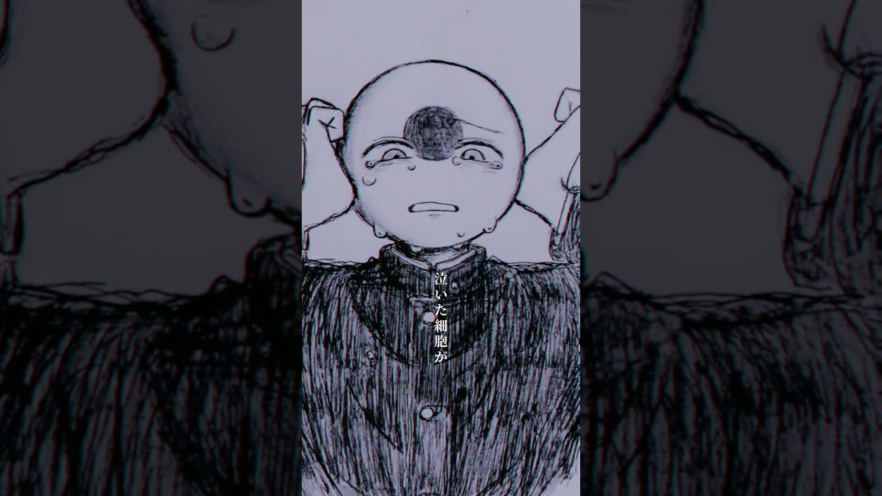 éå»ãæ±ãããçãããšããããšã#countryhumans #ã«ã³ããªãŒãã¥ãŒãã³ãº #ã«ã³ã㥠#ã€ã©ã¹ã