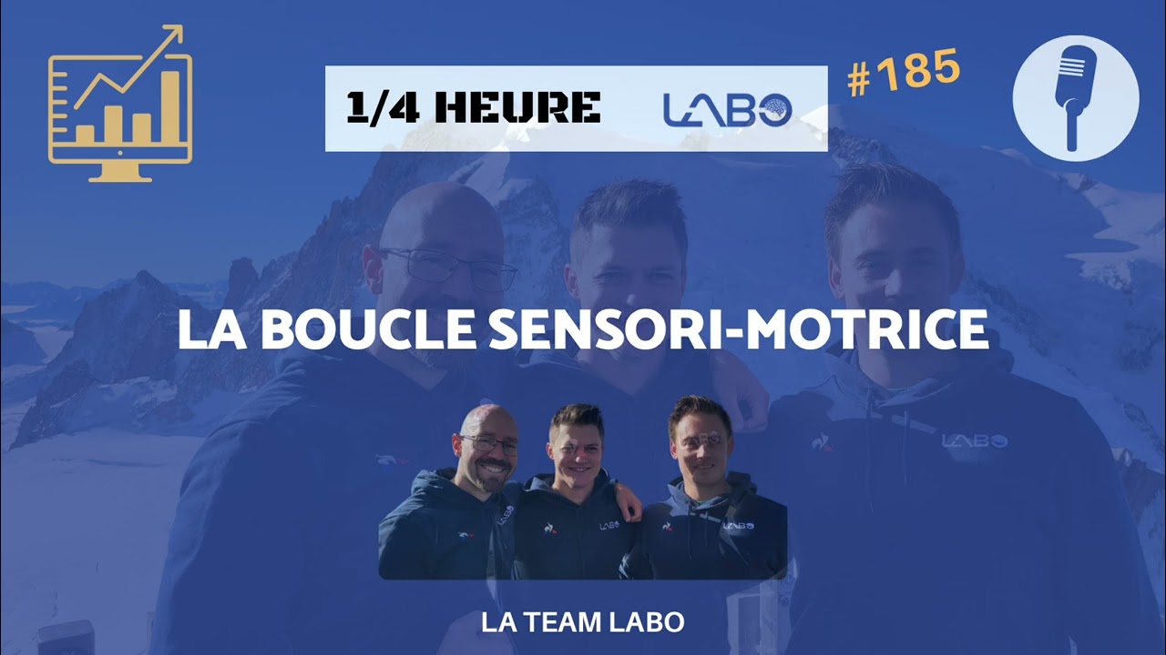 La boucle sensorimotrice : comment le corps capte, décide et bouge