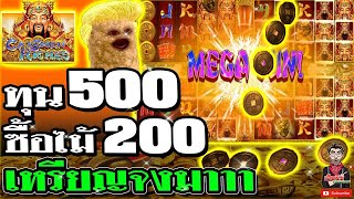 Caishen Rishes ค่ายjoker ➤ ทุน 500 เหรียญจงมาาาาา 🤩🤩
