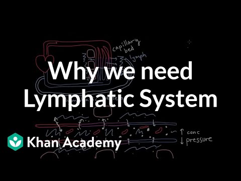 Why we need a lymphatic system | Lymphatic system physiology | NCLEX-RN | Khan Academy