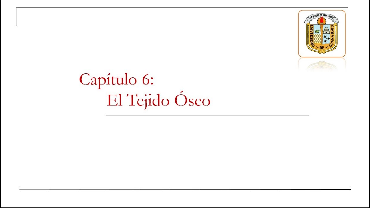 Anatomía y Fisiología I - El Tejido Óseo