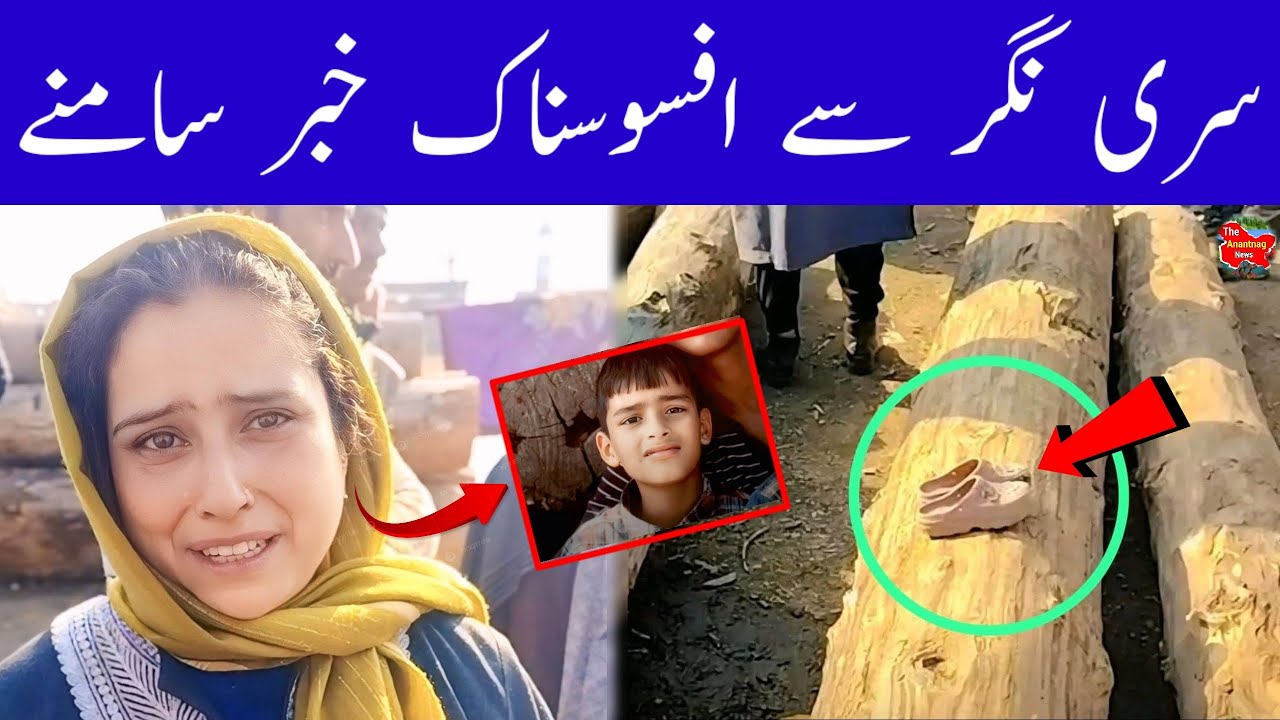 Evening Headlines | Jammu Kashmir News | News Bulletin Today 12 February 2026