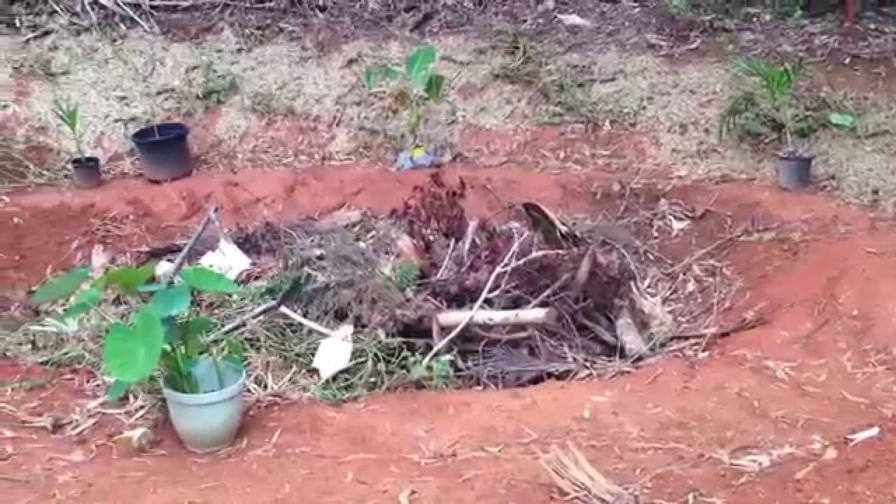 Pond, Water Garden, Mulch Pit Garden, Banana Circle to Food Forest!!!