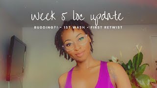 5 week Loc update | starter locs | first wash and retwist