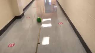 Mr. Steen's Bowling Ball Lab Trial 2