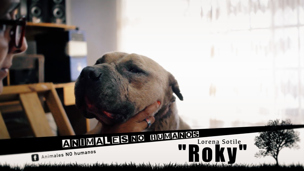 Animales No Humanos "ROKY" - CAP 17°