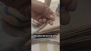 goat intestine kaise palatte hai seekh lo #viral