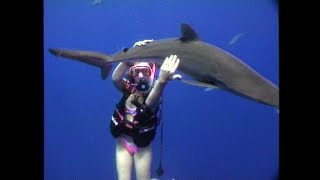 Scuba Divers Play With Marine Life 1990S