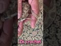 Crochet flower pot#handmade #crochetprojects #home decore
