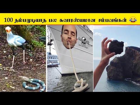 😂சிலர்க்கு நேரம் எப்படி கைகுடுக்குதுன்னு பாருங்க | Perfect Timing is everything in the world