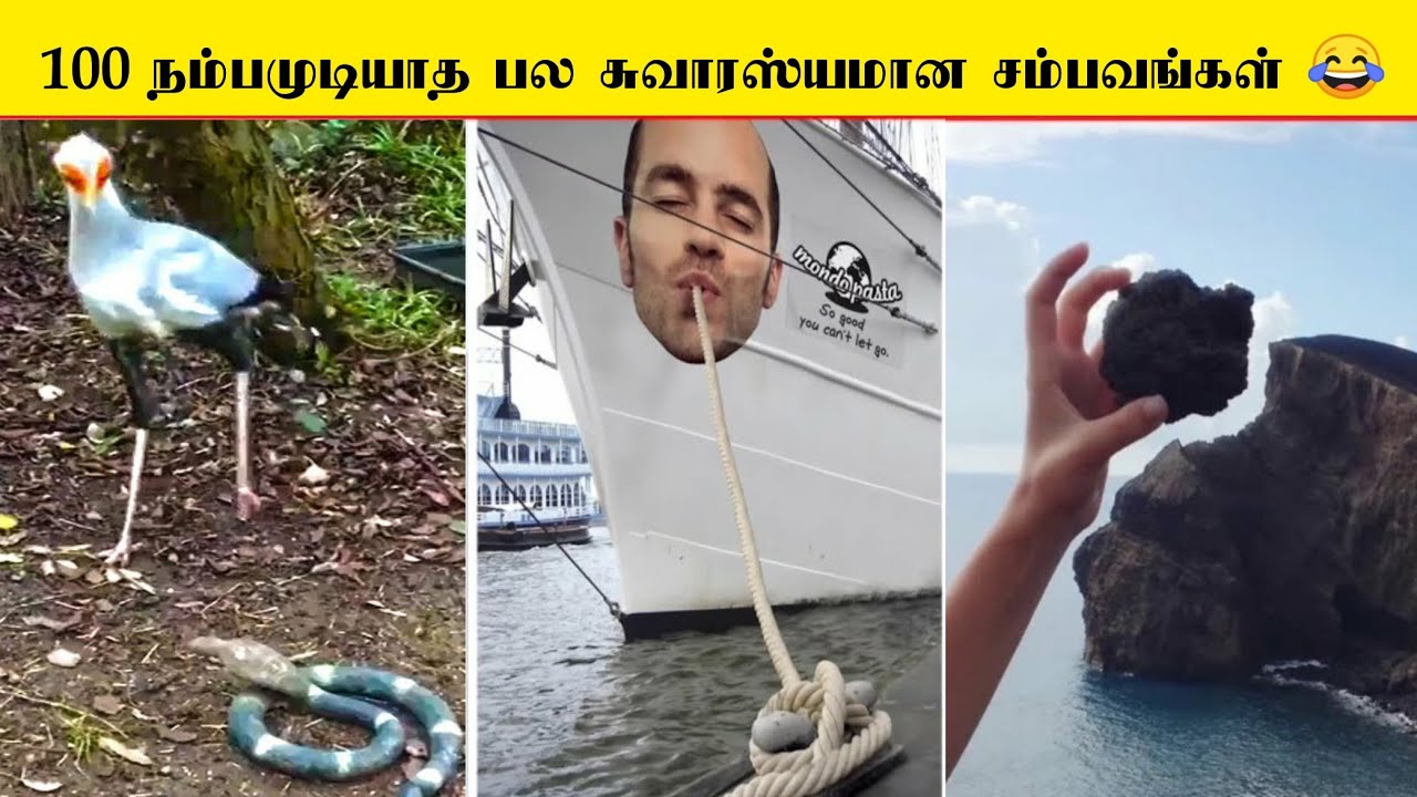 😂சிலர்க்கு நேரம் எப்படி கைகுடுக்குதுன்னு பாருங்க | Perfect Timing is everything in the world