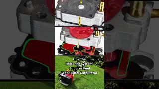 The INCREDIBLE way the Metering System runs the Engine - Weed Eater Carburetor
By carefully controlling the fuel-air mixture, the metering system in weed eater carburetors and chainsaws plays a crucial role in guaranteeing the proper operation of the 2-stroke engine. The needle valve, jet, and measuring diaphragm are some of the parts of this system. Fuel allowed into the carburetor is adjusted by the metering diaphragm in response to variations in engine load and airflow while the engine runs. Depending on the needs of the engine, the needle valve and jet further adjust the fuel flow.
The metering system allows for efficient combustion, maximising engine power output and performance while minimising fuel consumption and pollutants. This is accomplished by maintaining the ideal fuel-to-air ratio. Additionally, by preventing lean or rich fuel mixtures, which can lead to overheating, premature wear, or engine damage, the metering system is essential to the dependability and lifespan of engines. To put it simply, the metering system is necessary to achieve smooth and consistent engine running, which guarantees the weed eater or chainsaw will function dependably and efficiently for the duration of its life.
Have a great day
Craig (Owner and Creator of The Repair Specialist Channel) The INCREDIBLE way the Metering System runs the Engine - Weed Eater Carburetor