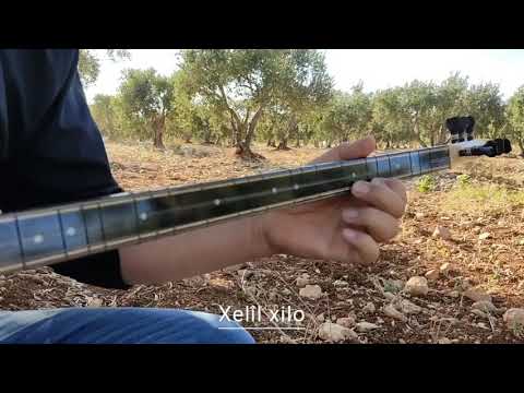 بزق عيشه ايبه فلكلور عفرين Ayşa Ibê العازف المخضرم الاستاذ خليل خلو 