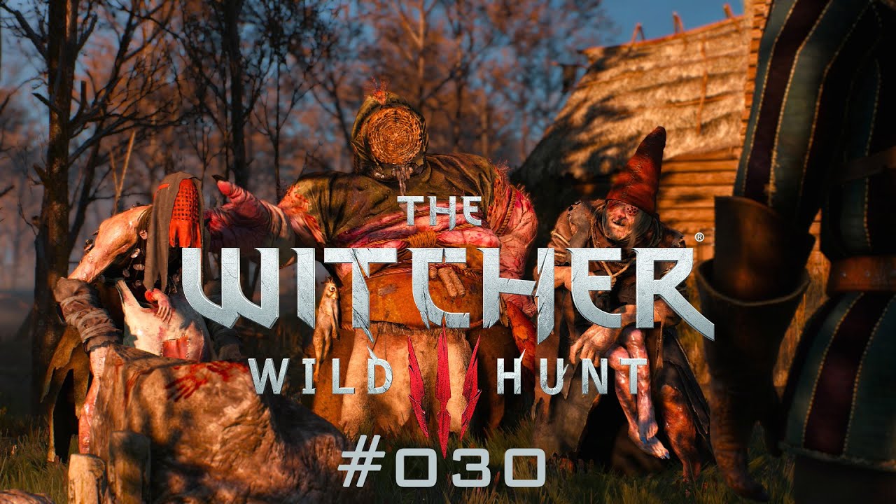 The Witcher 3 Böse Hexe Besiegen