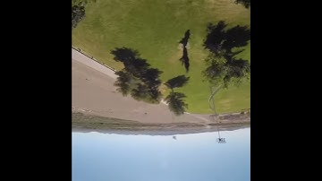 Helio Spring maddie flip