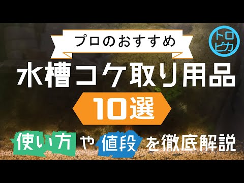 プロが教える！おすすめの水槽コケ取り用品10選！使い方や値段を徹底解説