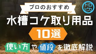 プロが教える！おすすめの水槽コケ取り用品10選！使い方や値段を徹底解説