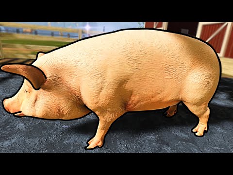 Чистые свиньи - Adventure Farm VR