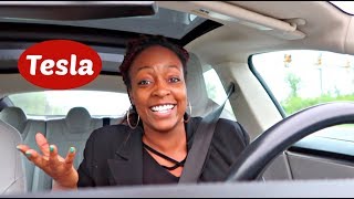 Tesla Dog Mode car update Bae and I Discuss Getting a Dog